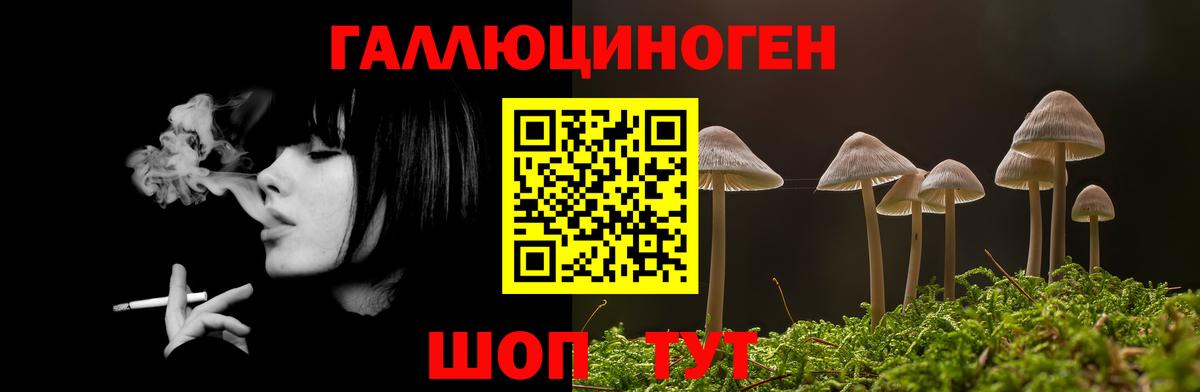 Галлюциногенные грибы GOLDEN TEACHER Камышлов